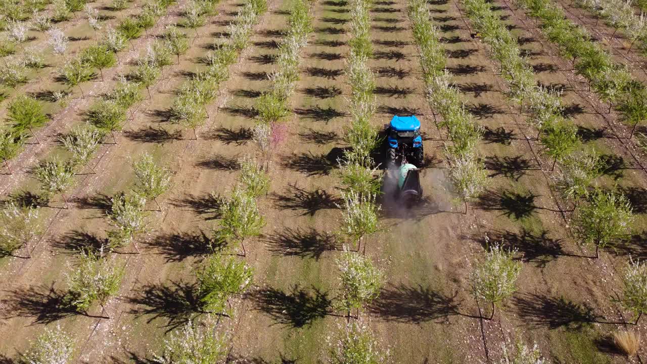 带喷雾器的拖拉机在种植园里视频素材