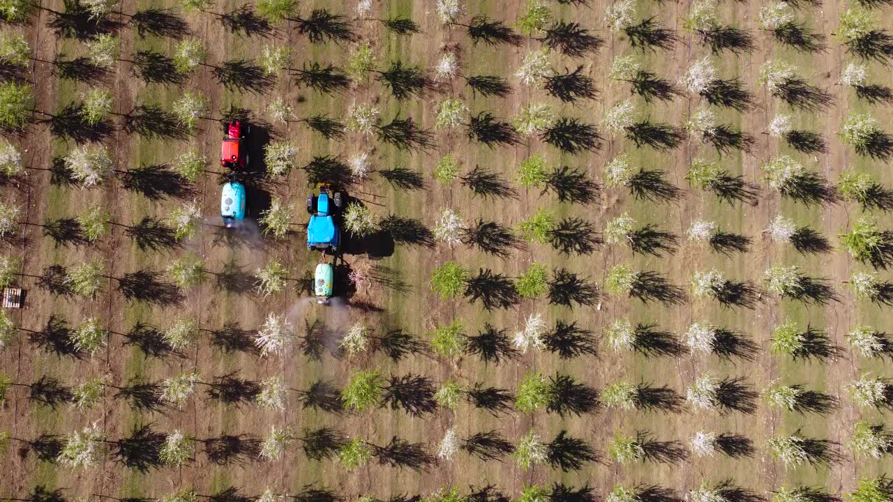 带喷雾器的拖拉机在杏仁种植园里视频素材