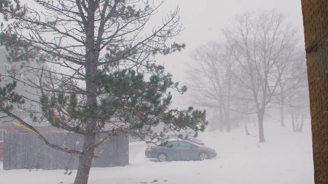 加拿大哈利法克斯遭遇暴风雪。视频素材