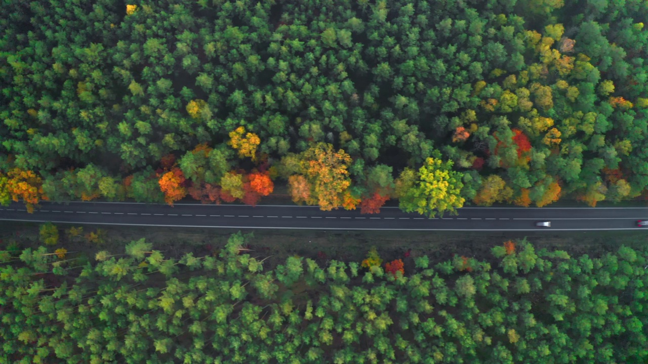 汽车行驶在有彩色树木的森林里的双车道道路上视频素材