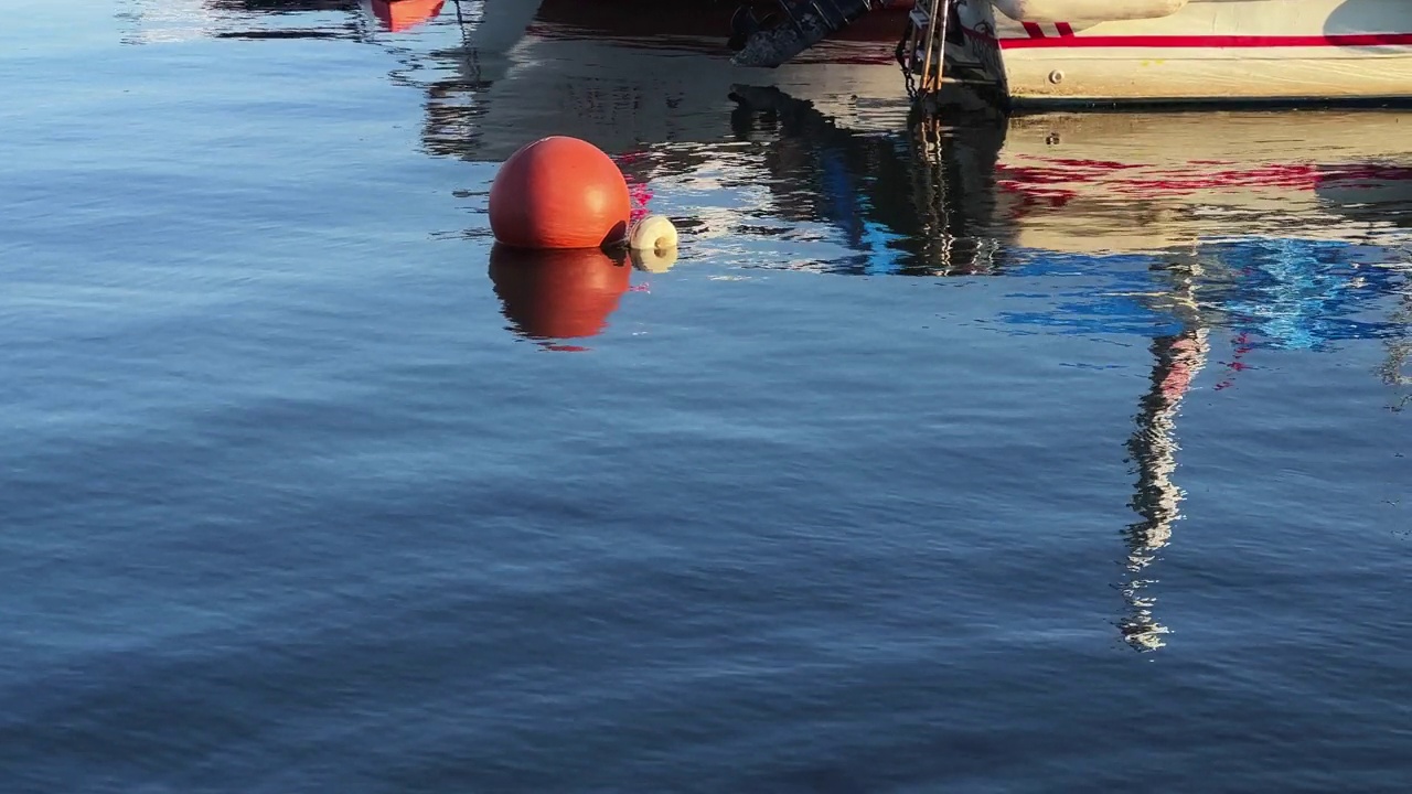 海水中码头的生命浮标视频下载