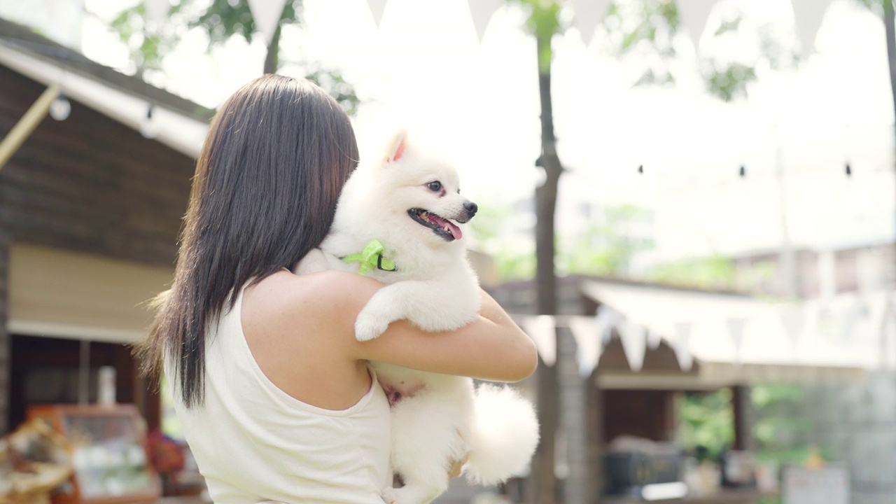 4K亚洲妇女在宠物友好餐厅与博美犬玩耍。视频素材