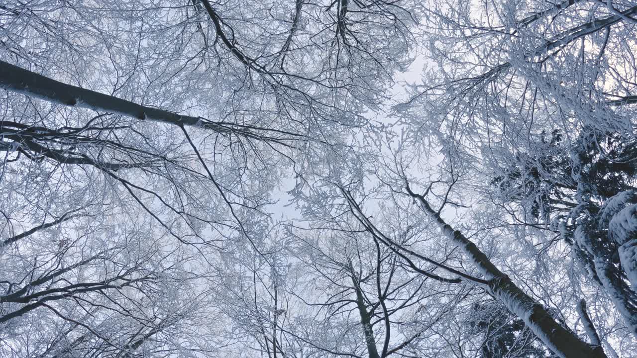 冬季山脉全景隐藏在快速云日出自然时间延迟垂直视频视频素材