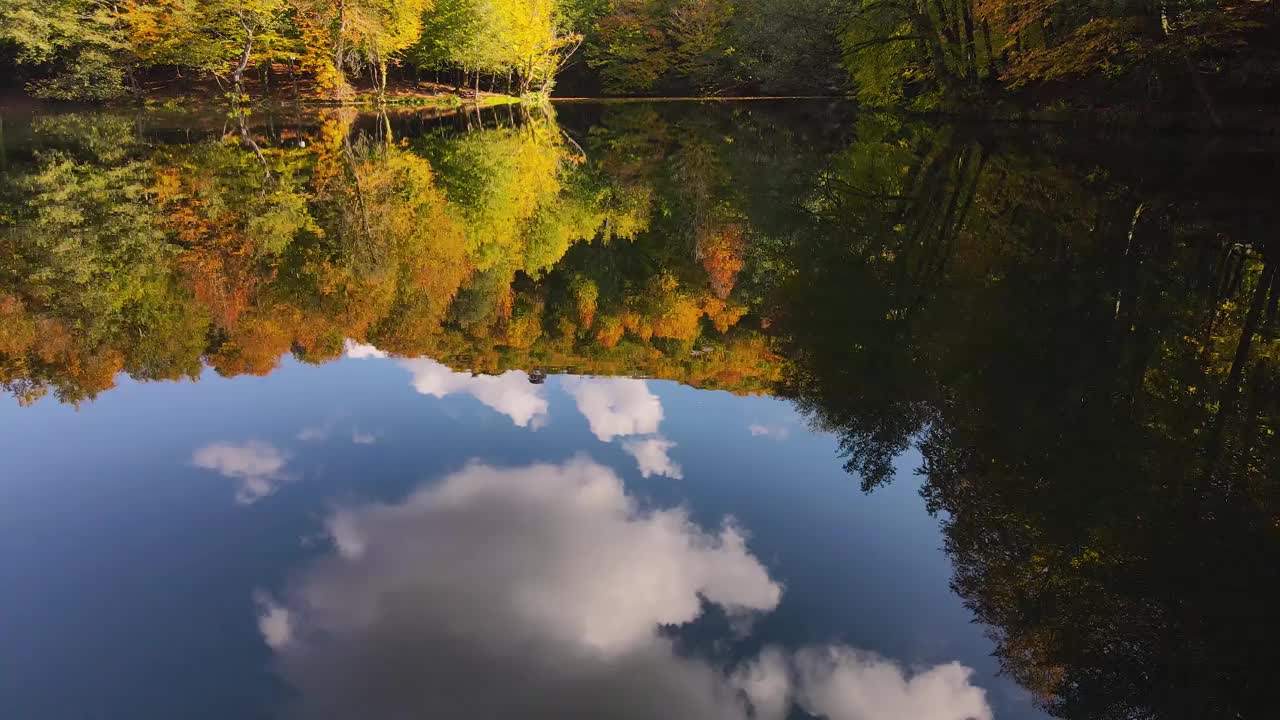 秋天的森林映在湖中视频素材