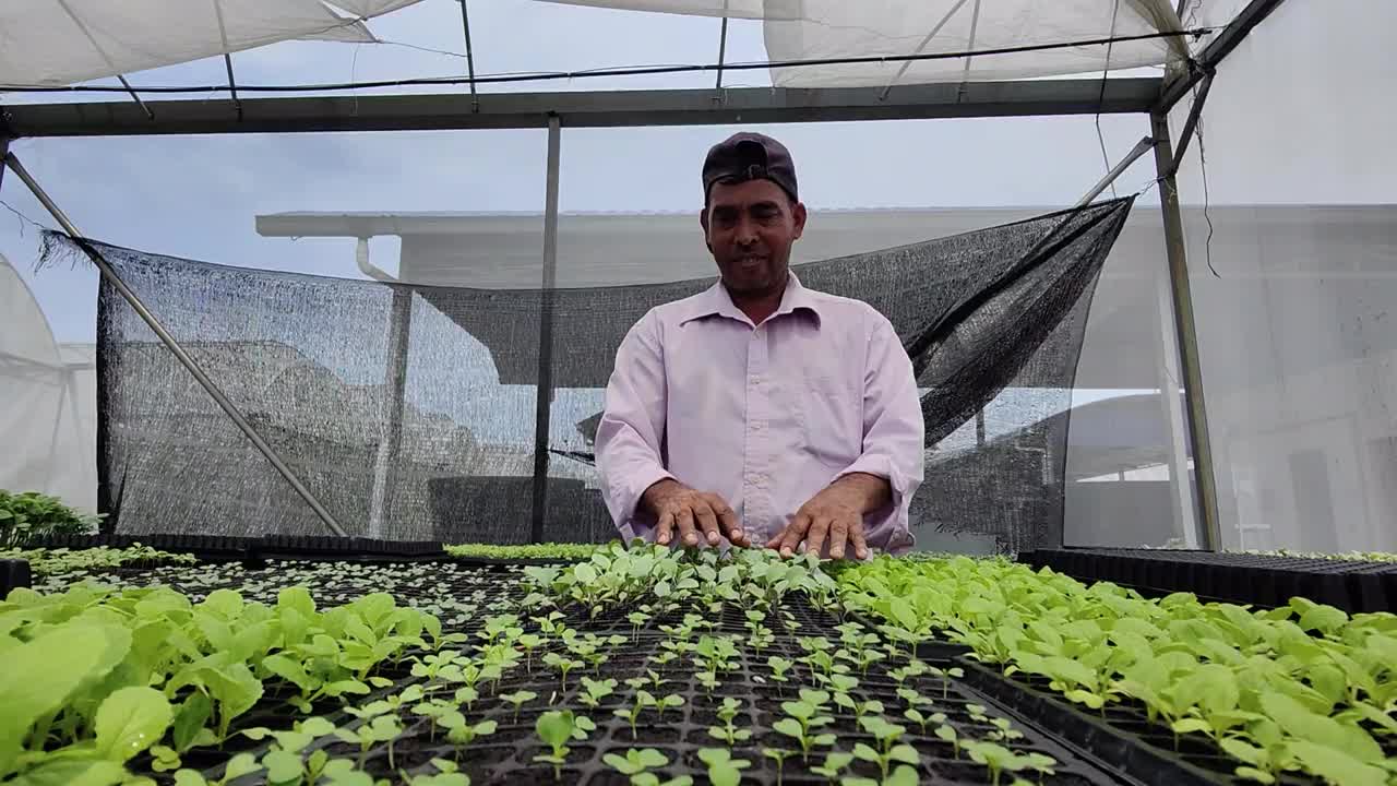 植物苗圃护理视频下载