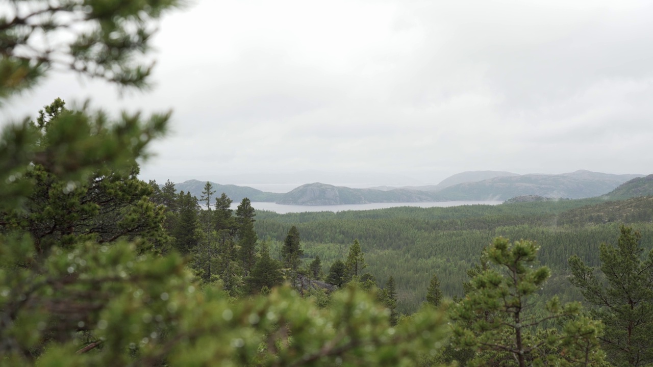 挪威峡湾风景在一个雨天从绿色山脉拍摄视频素材