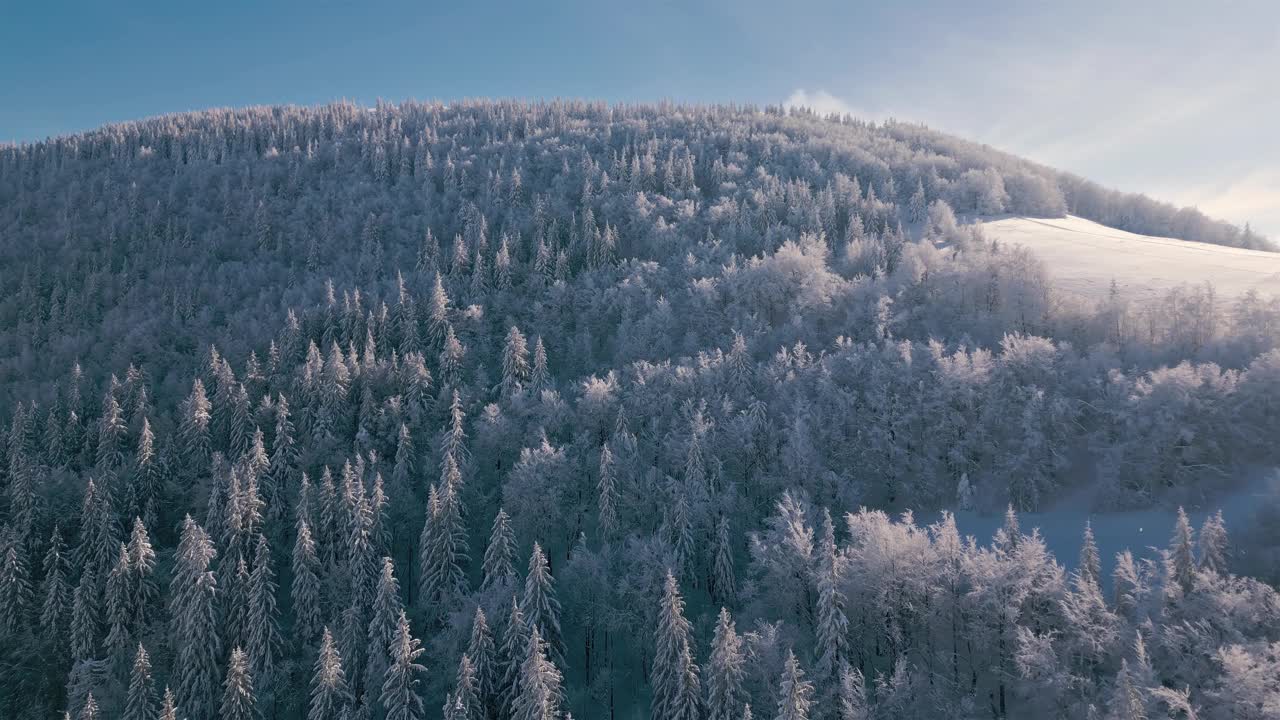 鸟瞰图冰雪森林在阳光明媚的山脉自然景观户外旅游背景视频素材