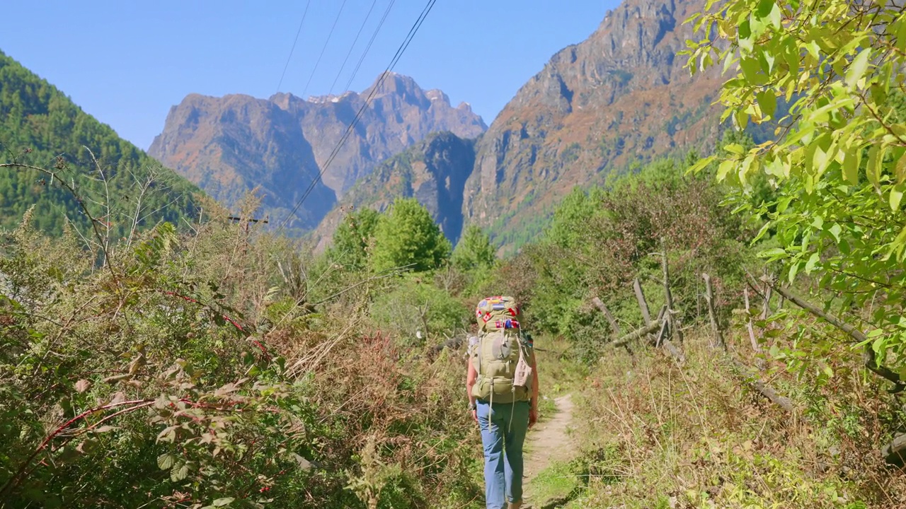 在尼泊尔的安纳普尔纳环线徒步旅行中，一名女徒步旅行者在郁郁葱葱的绿色山谷中沿着一条徒步小径行走，远处是陡峭的岩石山脉视频素材