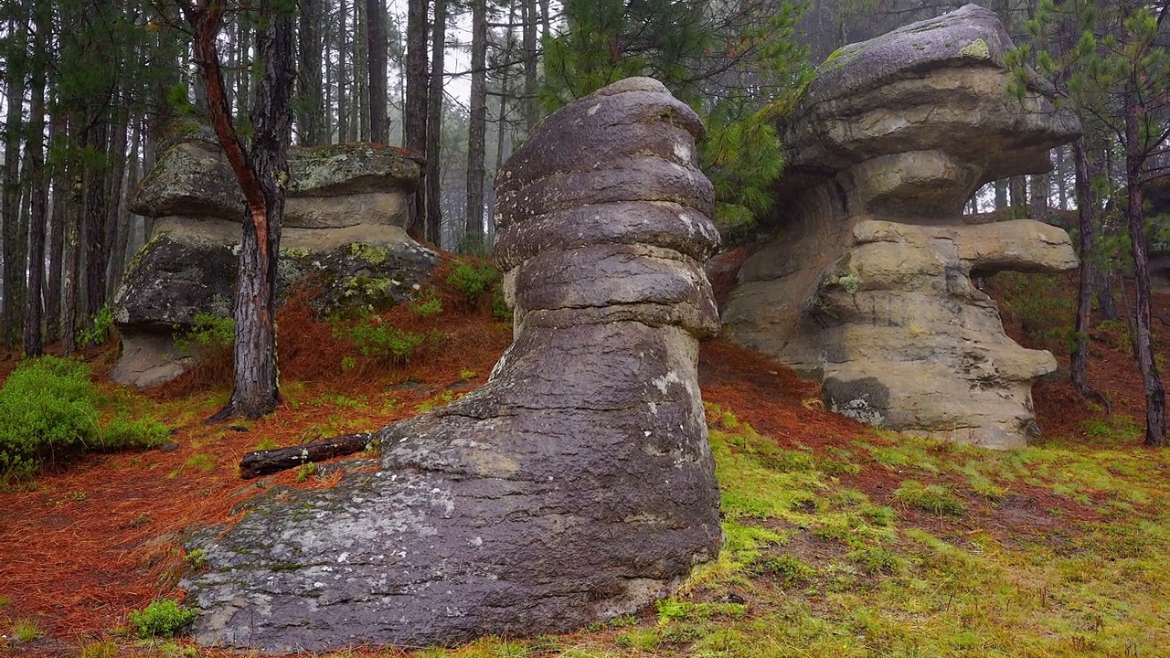 雨水为墨西哥佩德拉斯恩西马达斯山谷(Valle de las Piedras Encimadas)惊人的岩层带来了生命，创造了独特的视觉和听觉体验视频下载