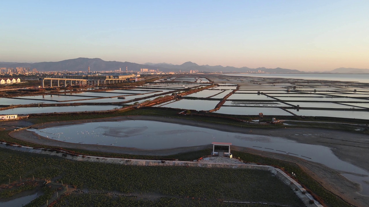 沿海滩涂上红树林的鸟瞰图视频素材