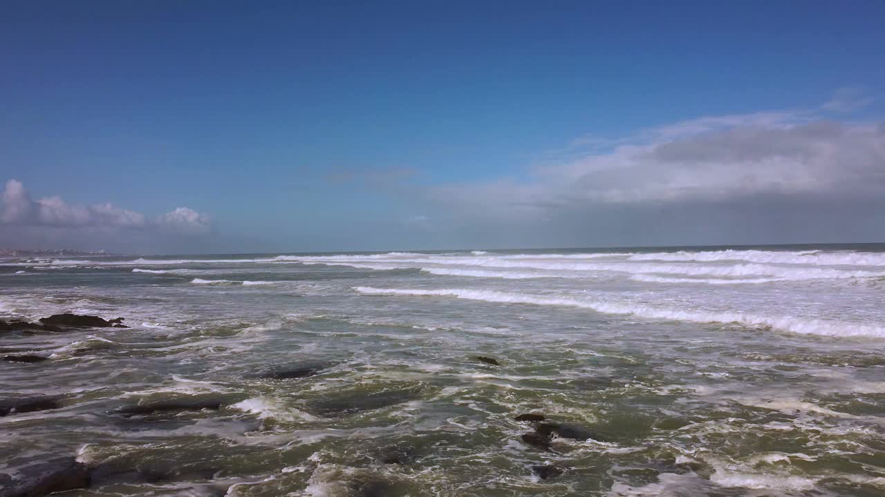 海洋和海鸟。视频素材