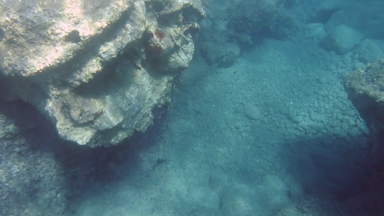 浅水海底视频素材