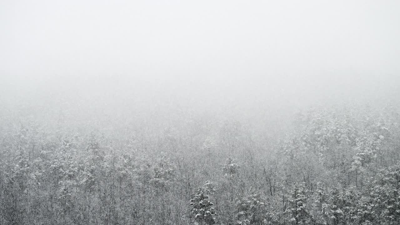 冬天，天气寒冷，下雪了。浪漫的仙境。在山上和森林背景下下非常大的雪。神奇的风景，美丽的圣诞。视频素材