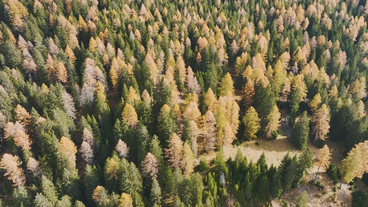 秋季欧洲阿尔卑斯山的鸟瞰图视频素材