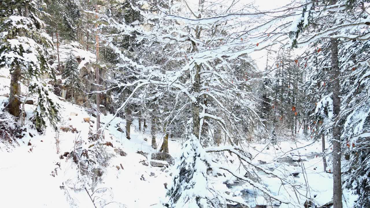 上比利牛斯山脉的雪林景观视频素材