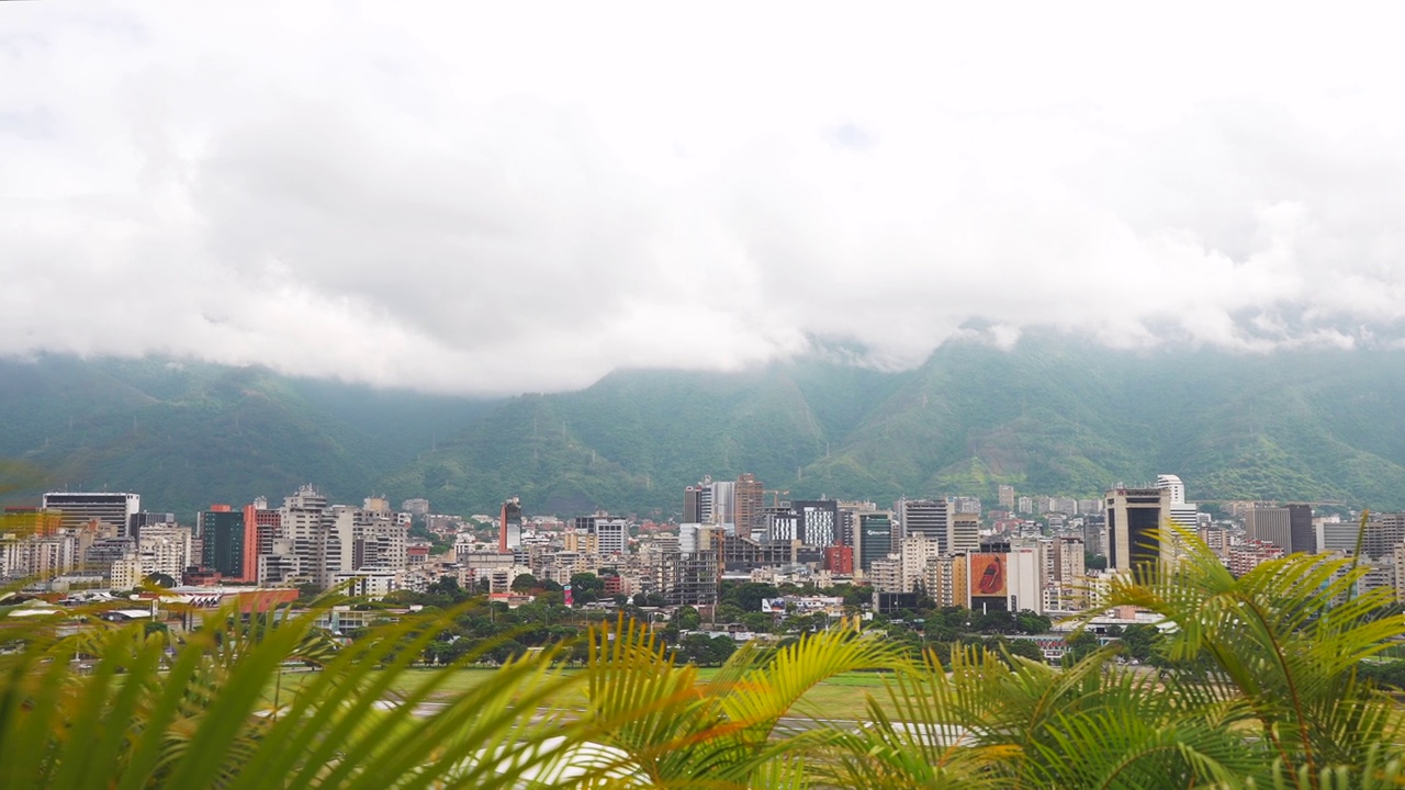 透过棕榈叶俯瞰加拉加斯市区全景。以群山为背景的高楼大厦。世界上最危险的城市视频素材