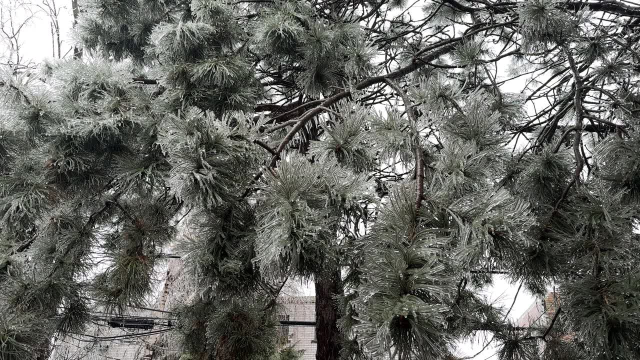 拉萨尔，蒙特利尔，魁北克的冻雨视频下载