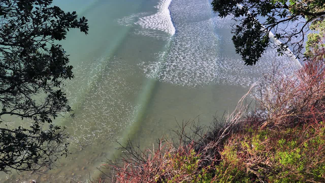 新西兰奥克兰的Orewa海滩海岸线视频素材