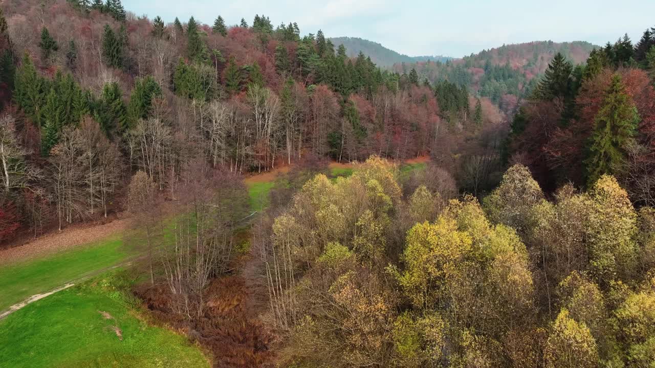 秋天乡村色彩缤纷的森林和绿色草地的鸟瞰图视频素材