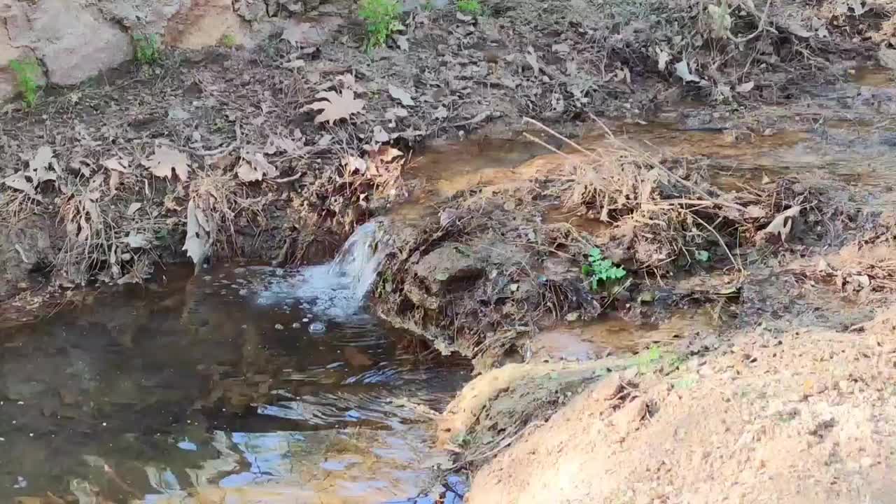 一条小河，一条泉水，清澈的流水在森林里流淌视频素材