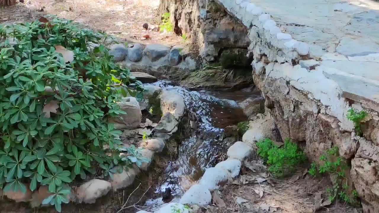 一条小河，一条泉水，清澈的流水在森林里流淌视频素材