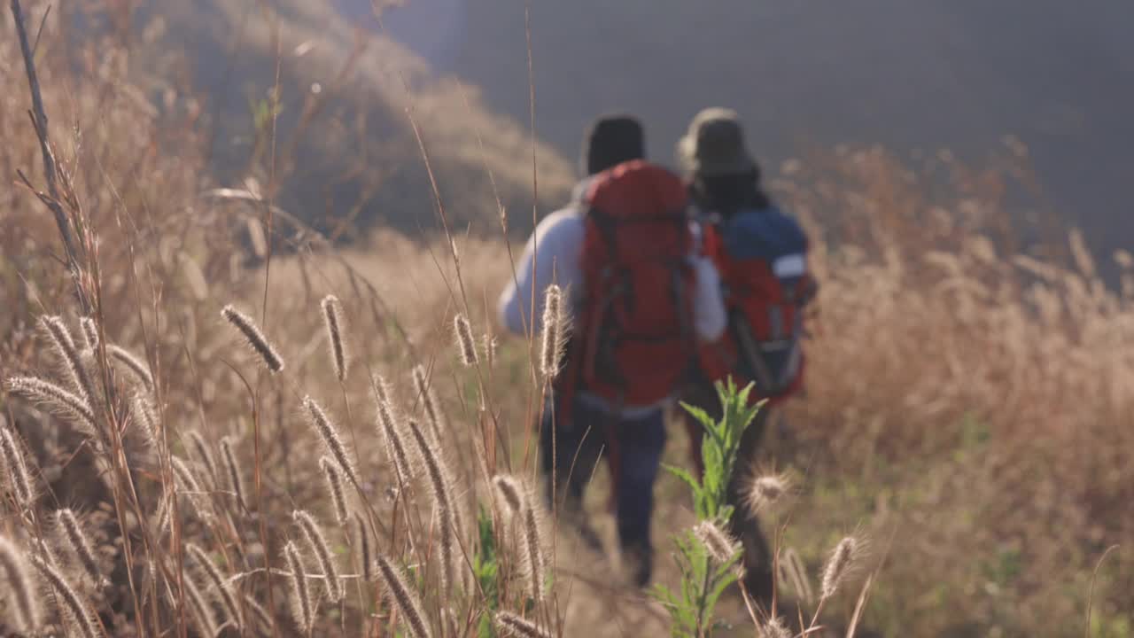 男性和女性亚洲旅行者徒步登山的后视图视频素材