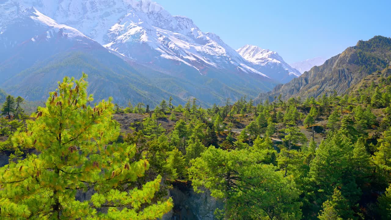 喜马拉雅山的森林景观，崎岖的地形，和雪峰，安纳普尔纳电路跋涉，尼泊尔。视差跟踪效果视频素材