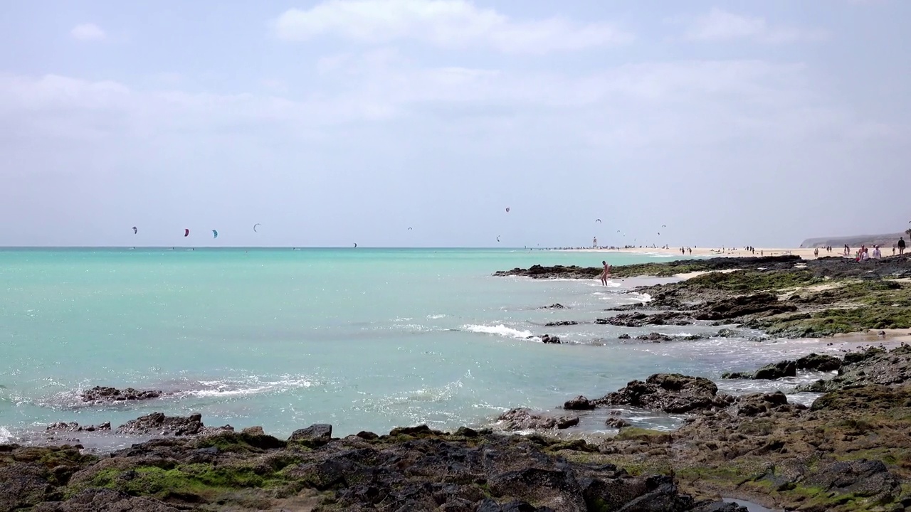 西班牙富埃特文图拉岛海岸线的壮丽全景，蔚蓝的海水和原始的海滩视频素材