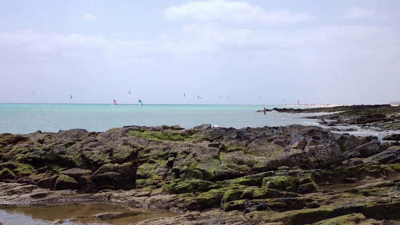 西班牙富埃特文图拉岛海岸线的壮丽全景，蔚蓝的海水和原始的海滩视频素材