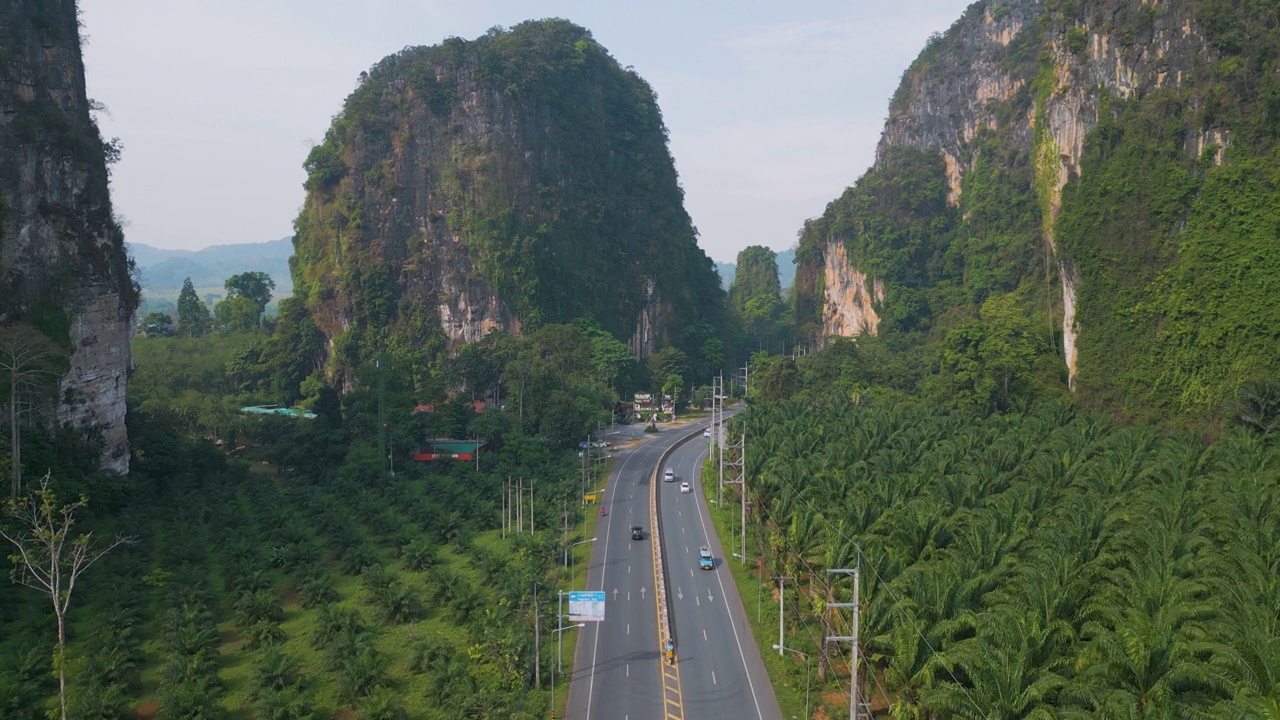 泰国棕榈油种植园道路的鸟瞰图视频素材