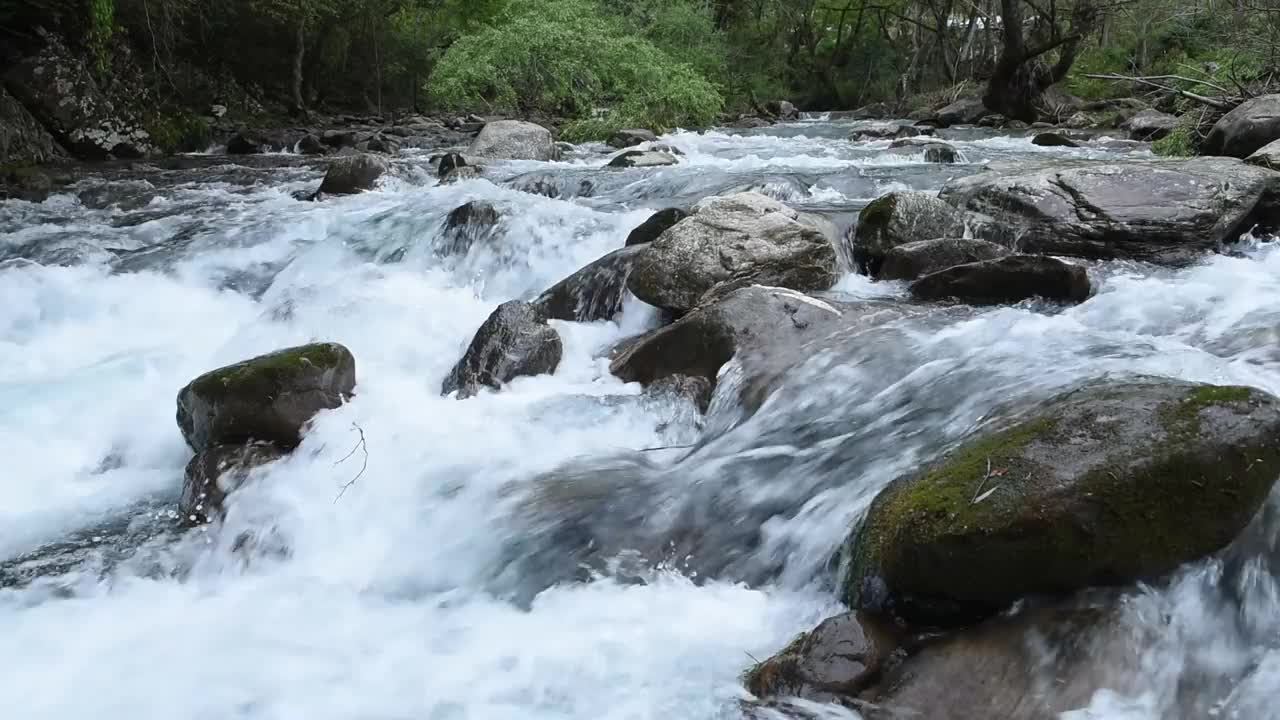 绿林，山涧视频素材