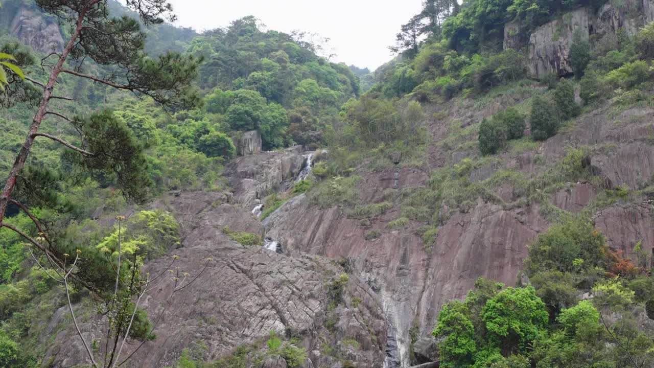 城市森林步道4K瀑布流水视频下载