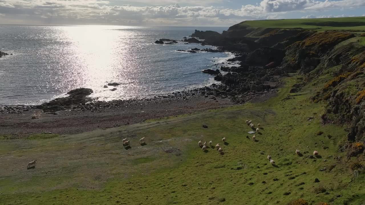 苏格兰加洛韦半岛的海岸线视频素材