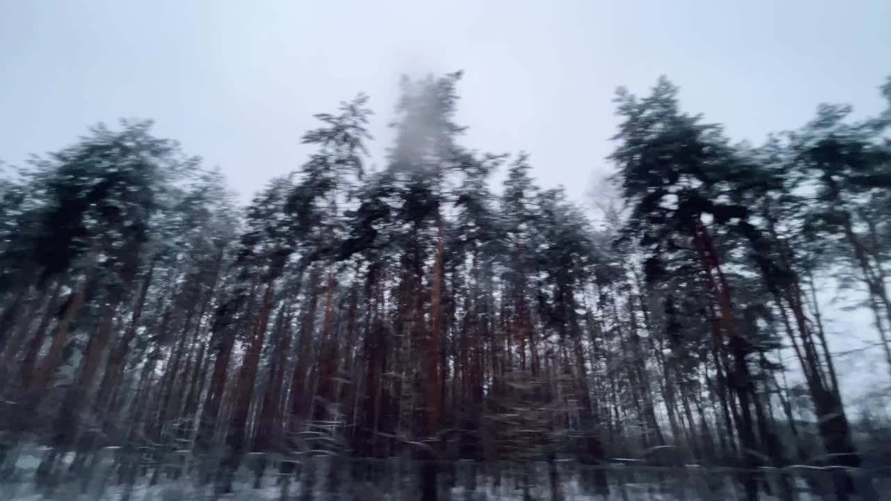 车窗，树，雨视频素材