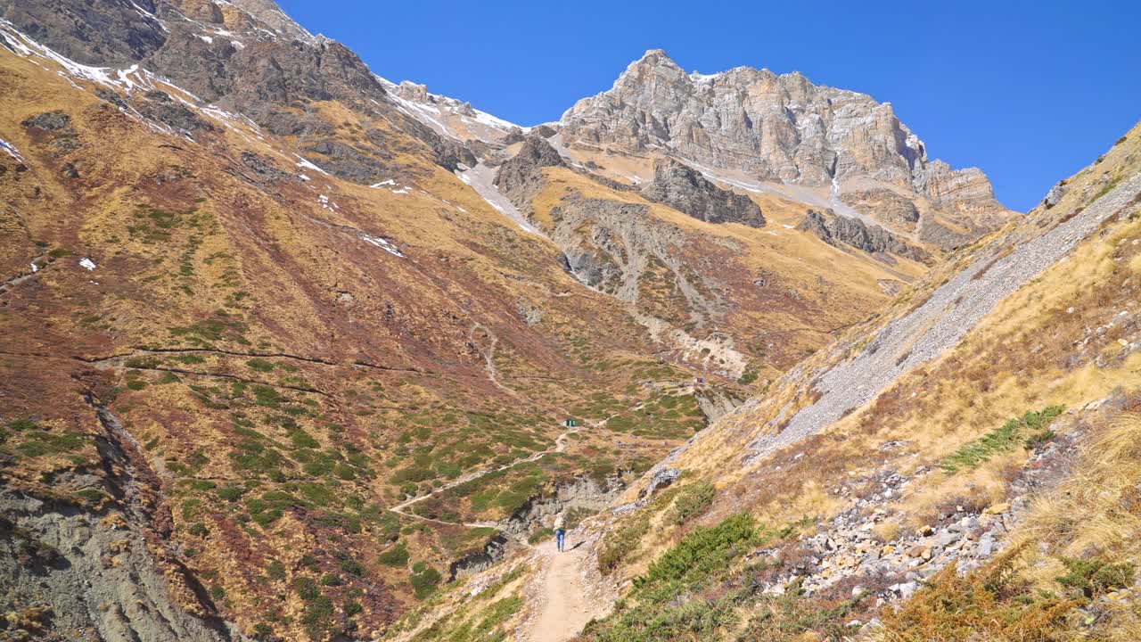 沿着狭窄的安纳普尔纳环行路线，在尼泊尔的高喜马拉雅山脉上，风景如画的雪山和秋天的树叶视频素材