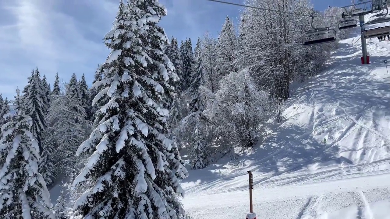 冬天，法国阿尔卑斯山的山坡上长满了白雪皑皑的松树。视频素材