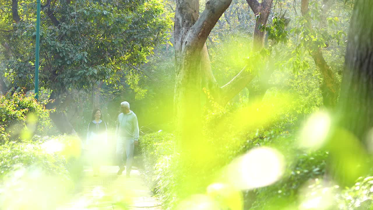 穿着运动服的活跃老年夫妇在公园慢跑视频素材