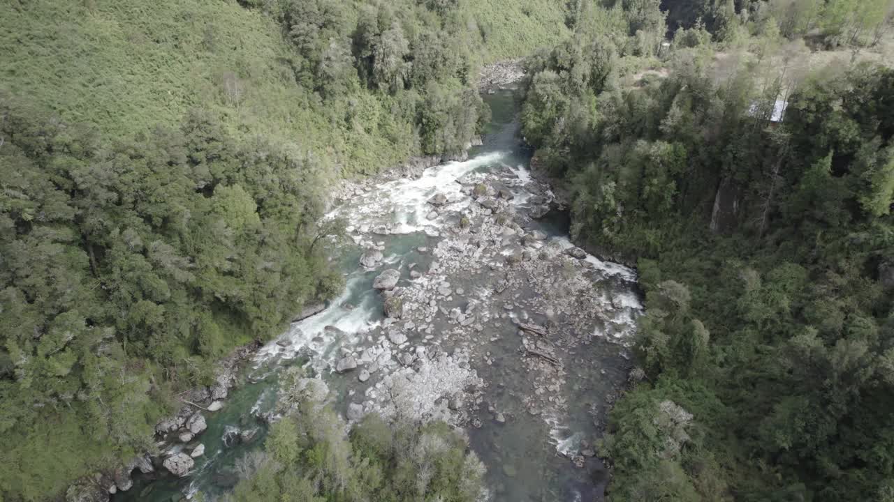 流经森林的河流视频素材