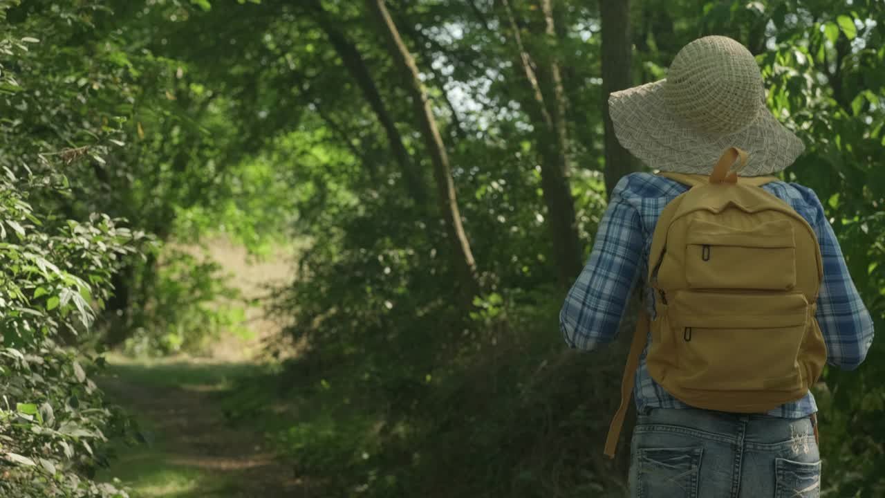 戴着帽子背着黄色背包的女人走在夏日的森林里。女性的徒步旅行者视频素材