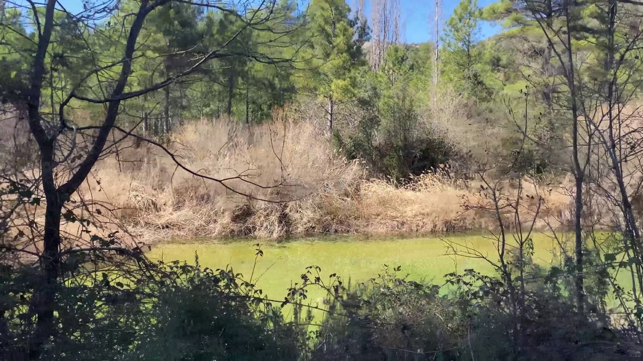 Cañamares beach on the Cañamares river in the province of Cuenca in Castilla la Mancha, Spain视频下载