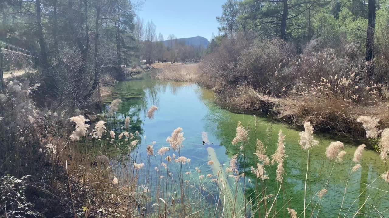 Cañamares beach on the Cañamares river in the province of Cuenca in Castilla la Mancha, Spain视频素材