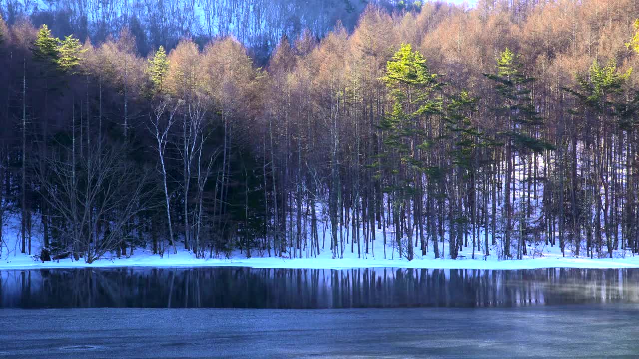 米沙卡池塘，一个冬天的早晨。冬天池塘结冰的表面。视频素材