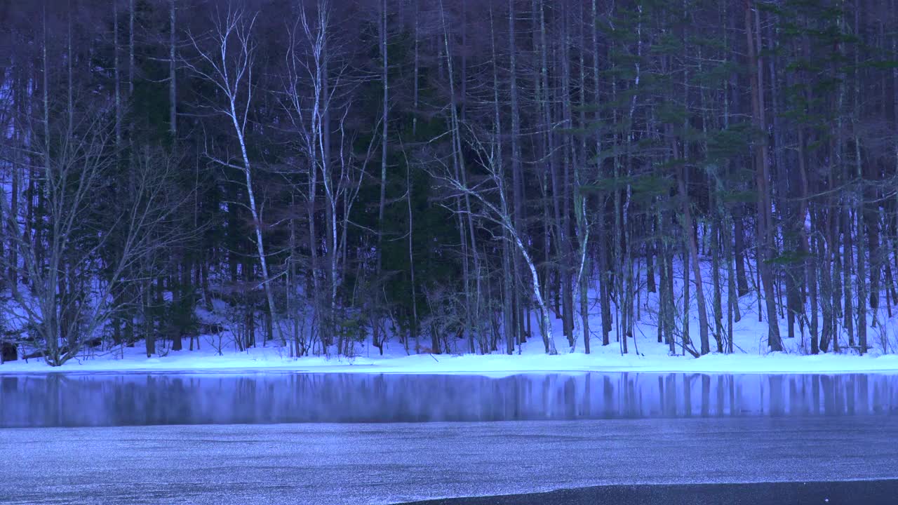 米沙卡池塘，一个冬天的早晨。冬天池塘结冰的表面。视频素材