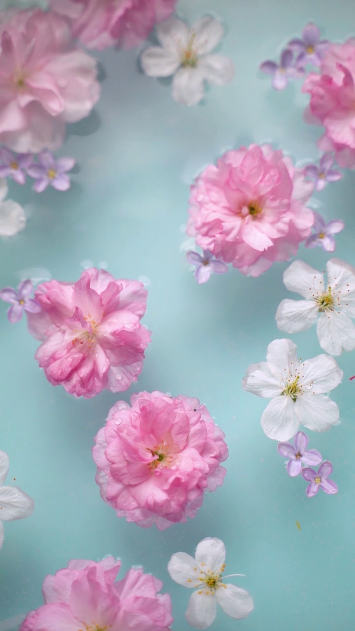 樱花和丁香花漂浮在水面上视频素材