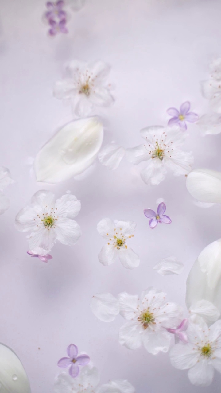 樱花、郁金香花瓣和丁香花漂浮在水面上视频素材