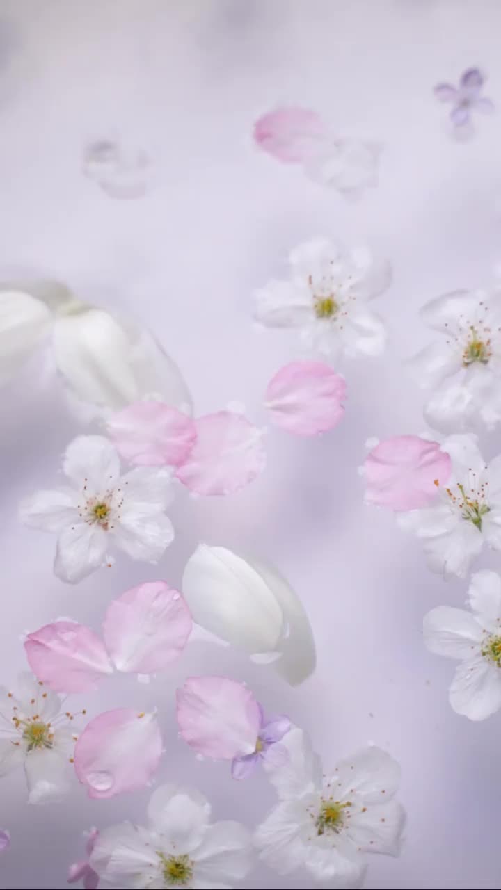 樱花、郁金香花瓣和丁香花漂浮在水面上视频素材