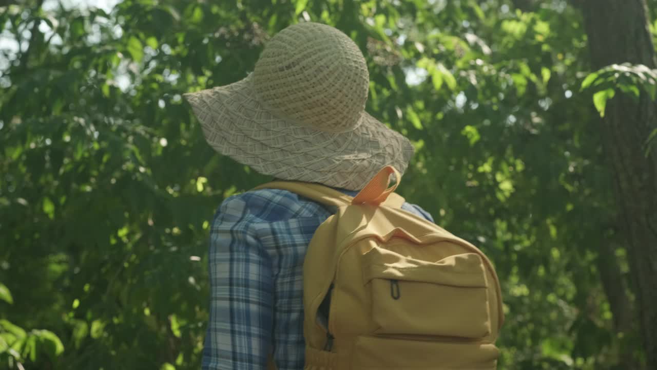 夏天在森林里徒步旅行的女人特写。背着背包的女人在树林里散步视频素材