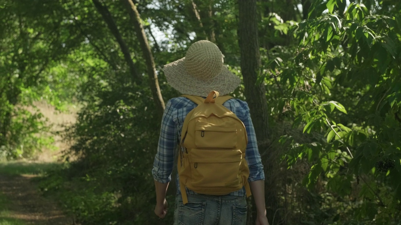 夏天在森林里徒步旅行的女人。背着背包的女人在树林里散步视频素材