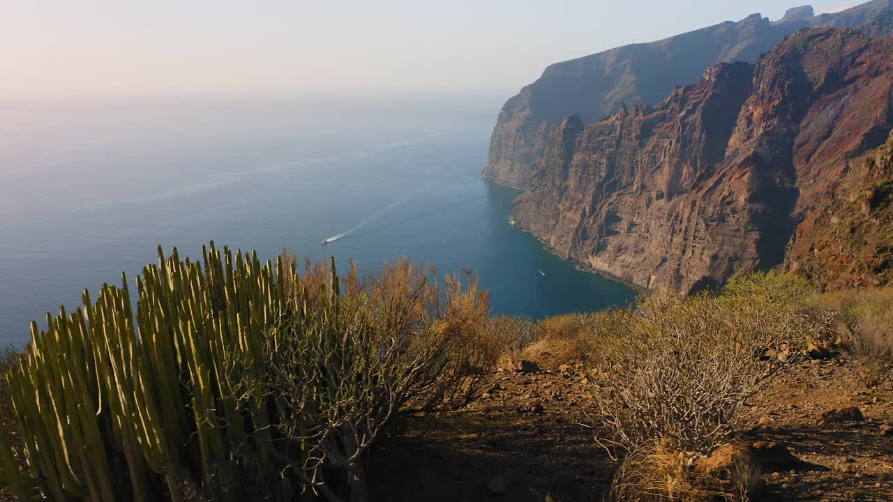 壮观的自然景观。空中飞行的岩石火山山脉，峭壁。深蓝色的海水，巨大的悬崖，西班牙特内里费岛。宁静。惊人的岩层。仙人掌树丛。视频素材