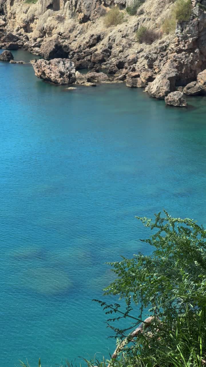 美丽的海岸线和绿色的植物视频素材